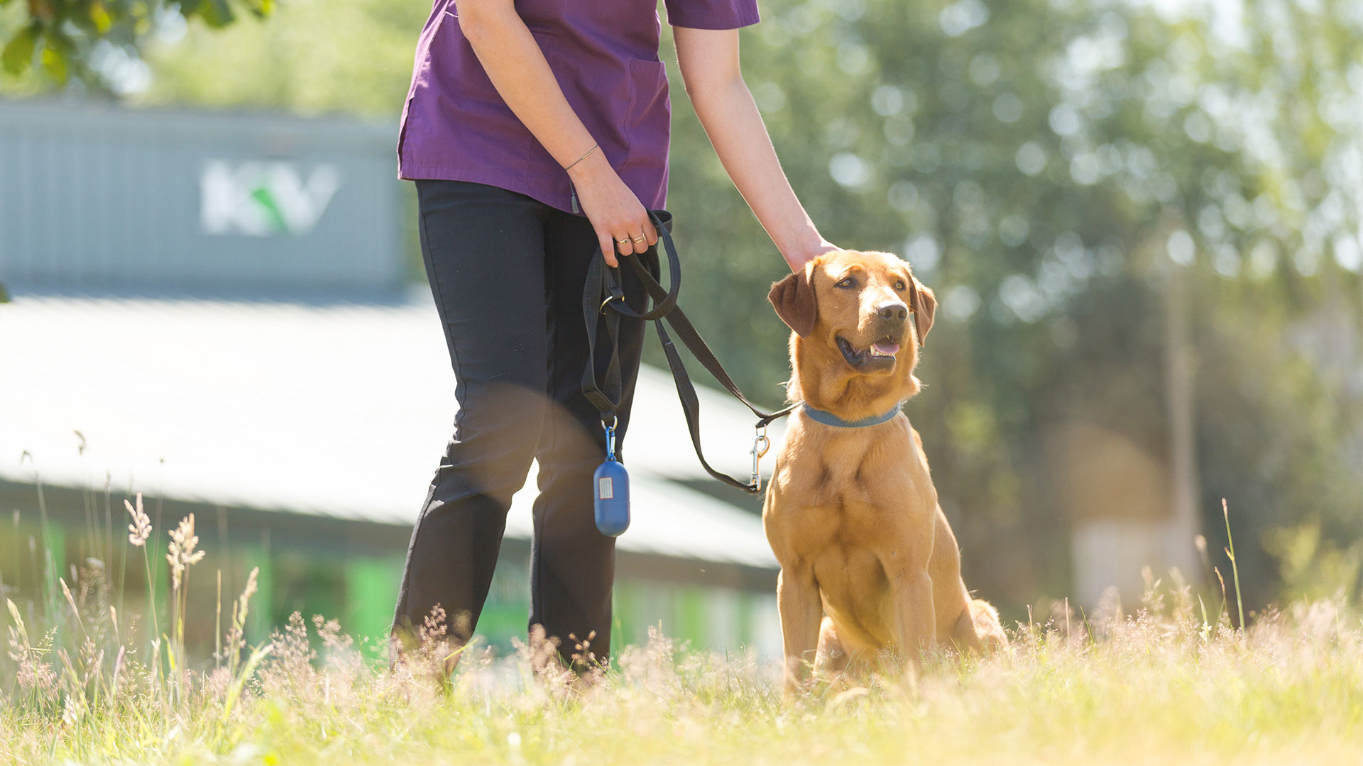 Blog From Kirks Vets Vets in Grantham and Sleaford Kirks Vets