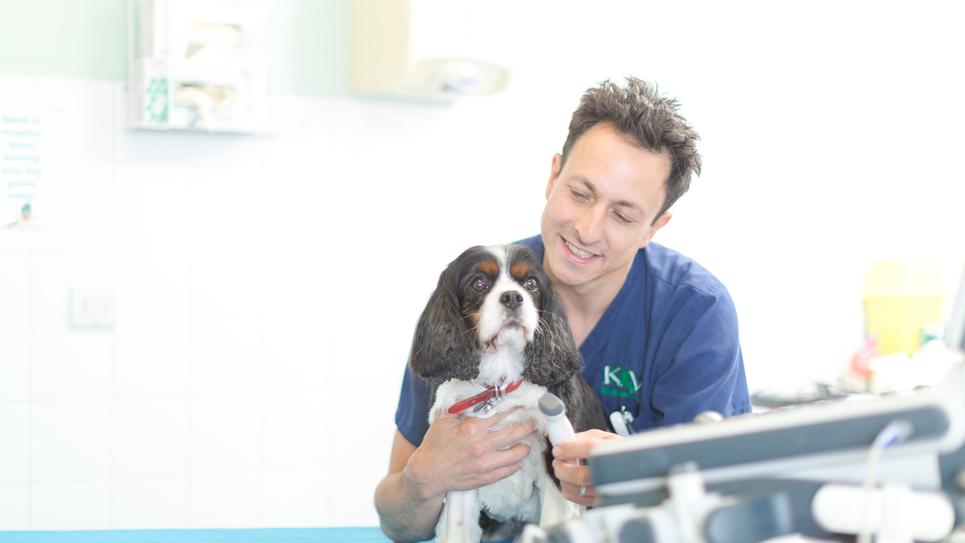Cardiology Referral Service Kirks Vets