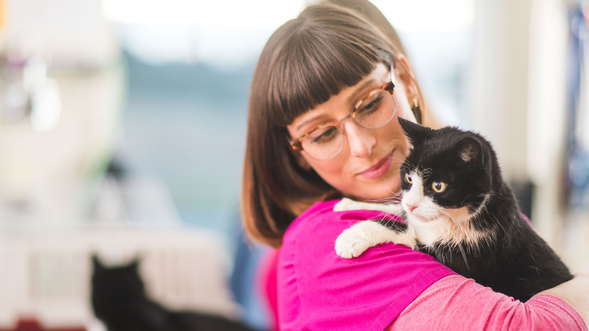 Contact Us Local Vets in Faversham Lady Dane Vets