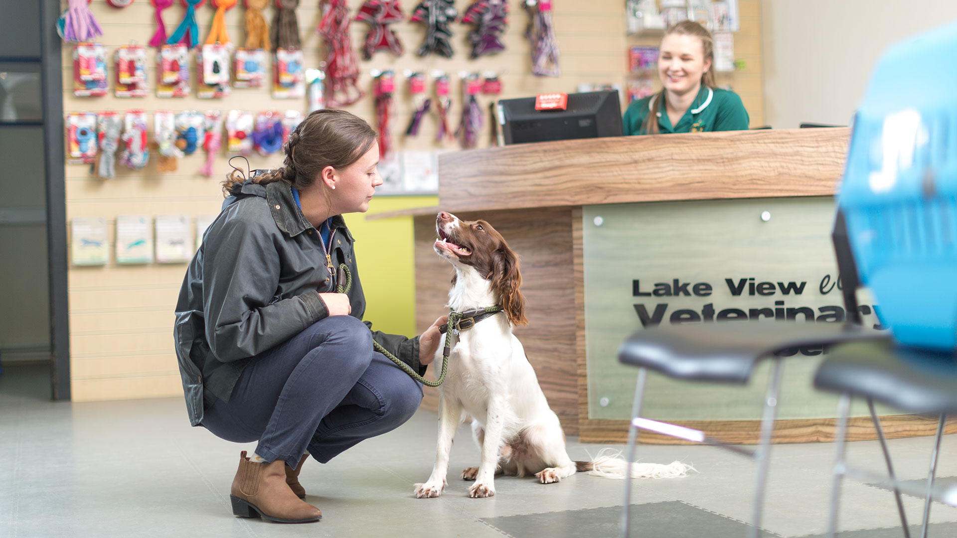 Pet Advice Vets in Kettering Lake View Vet Centre
