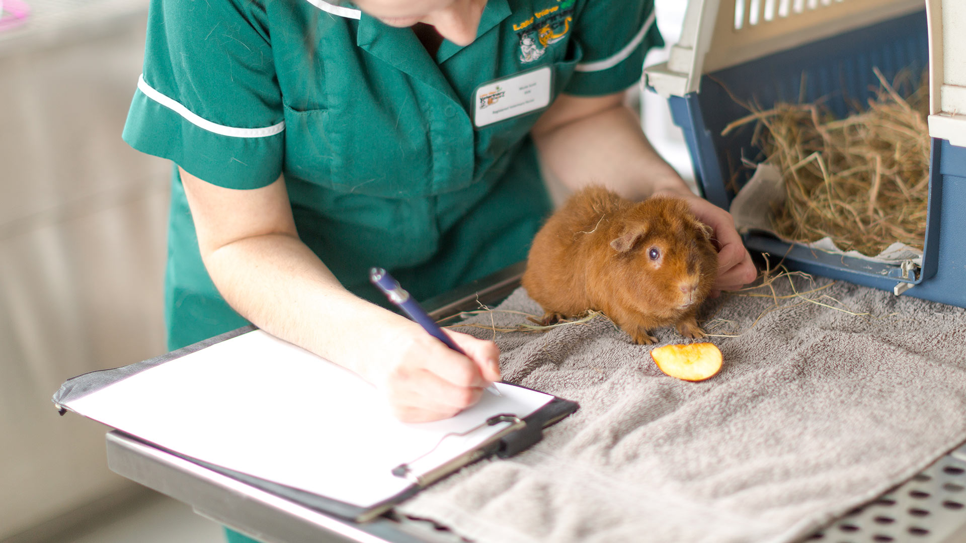 Pet Advice Vets in Kettering Lake View Vet Centre