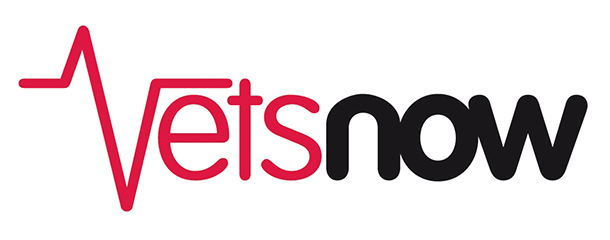 vets now logo