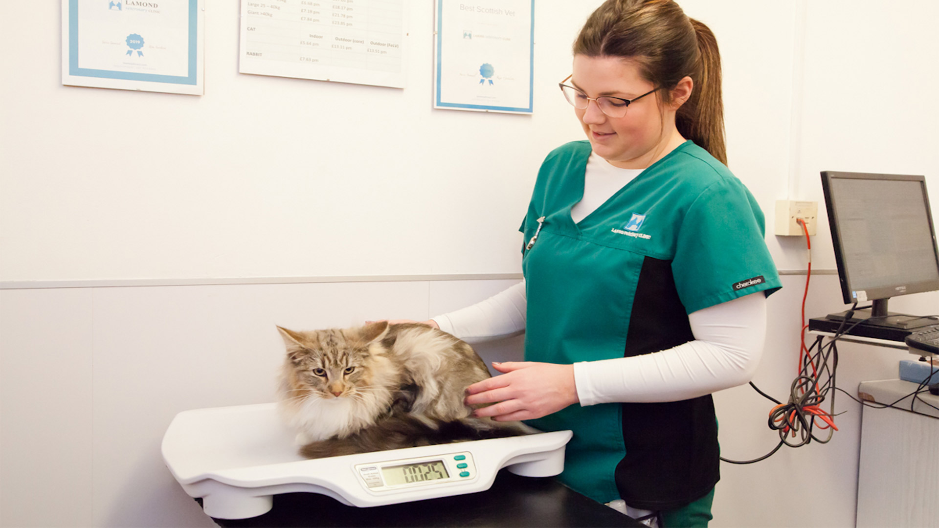 Nursing Consultations Local Vet in Livingston Lamond Vets