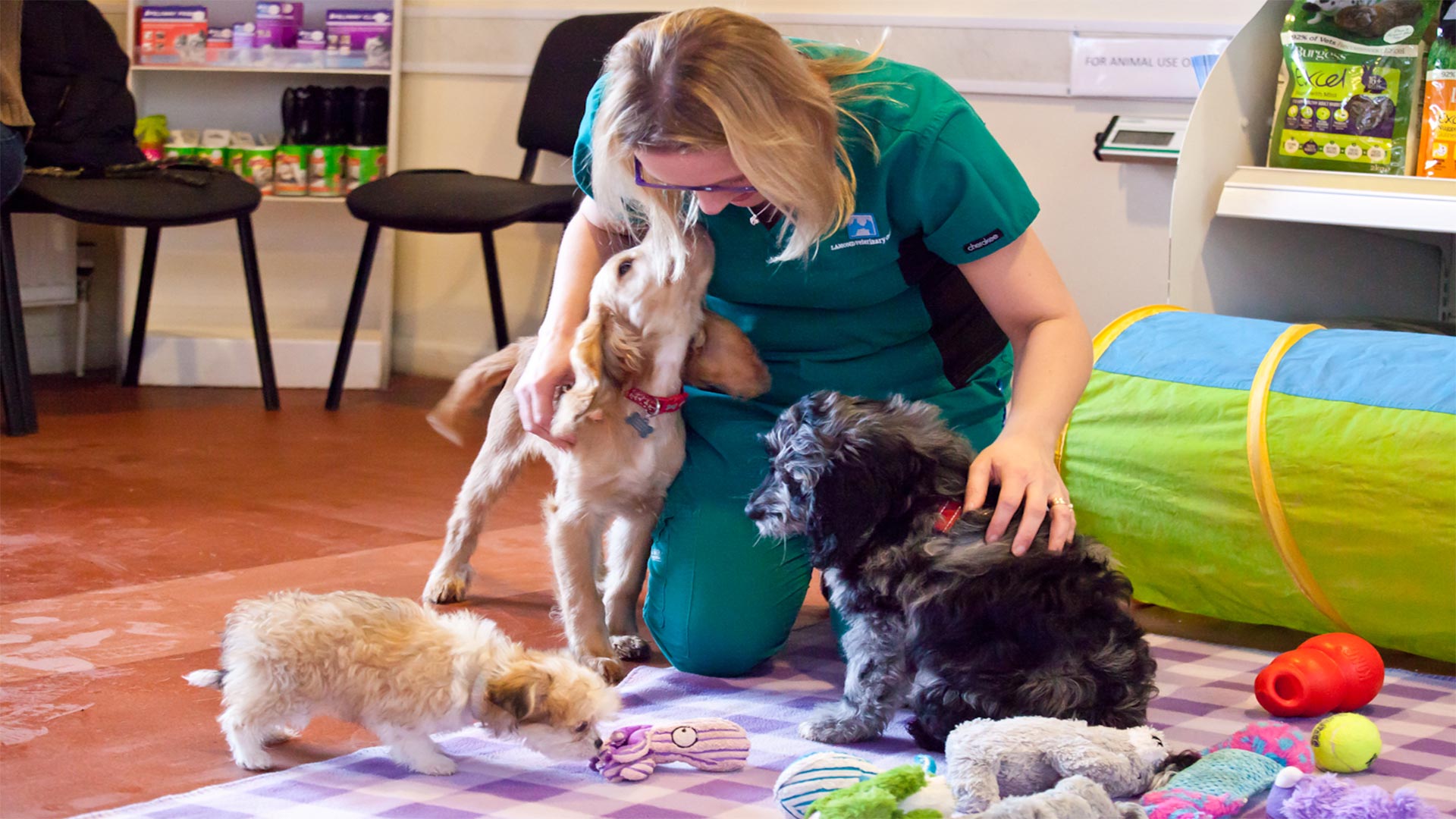 Blog | Local Vet in Livingston - Lamond Vets