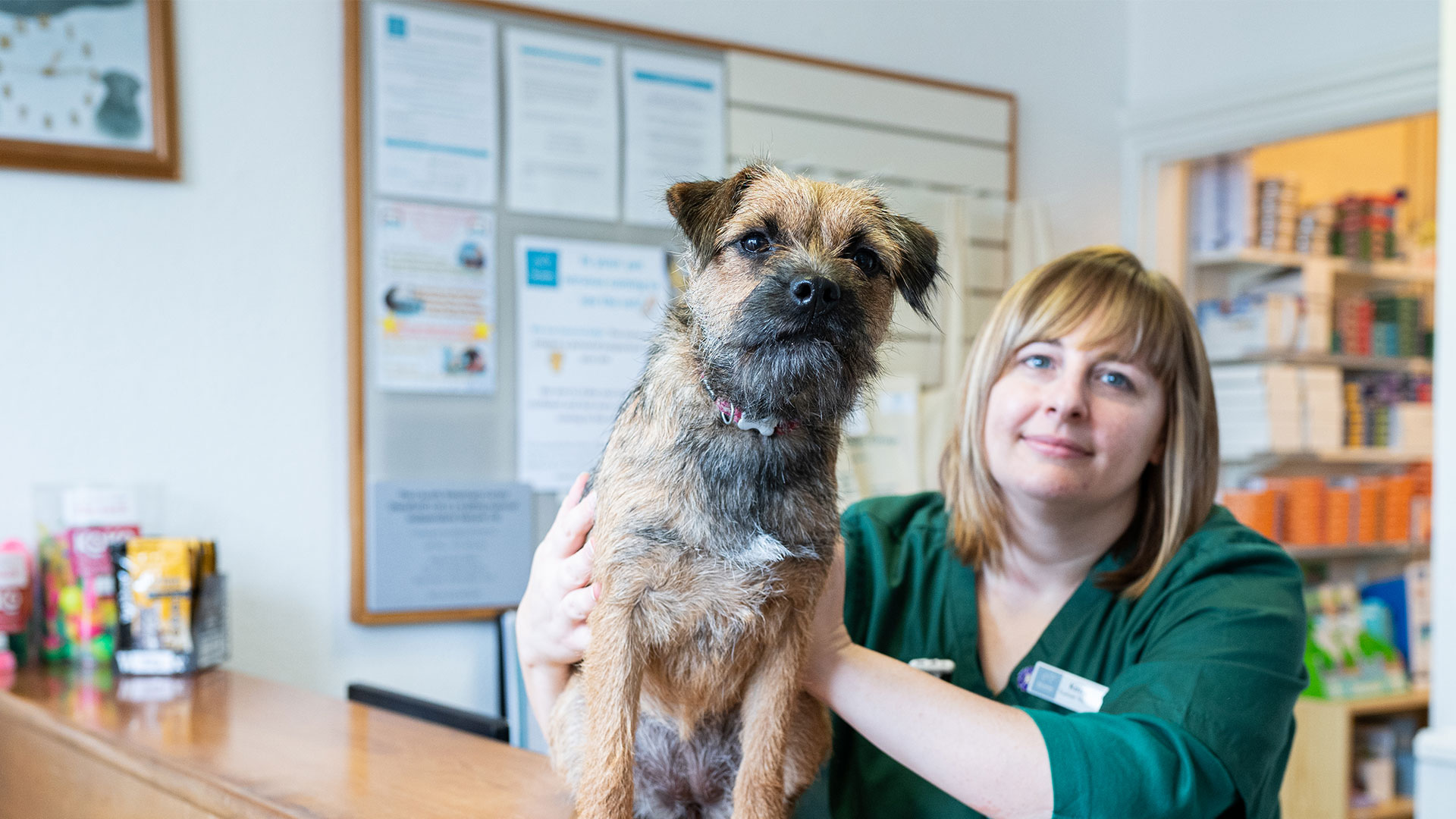 Contact Us Vets in Hereford & Ewyas Harold The Laurels Vets