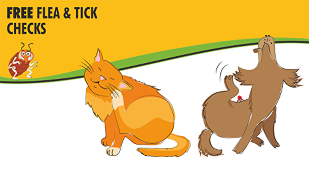 Free flea and tick check