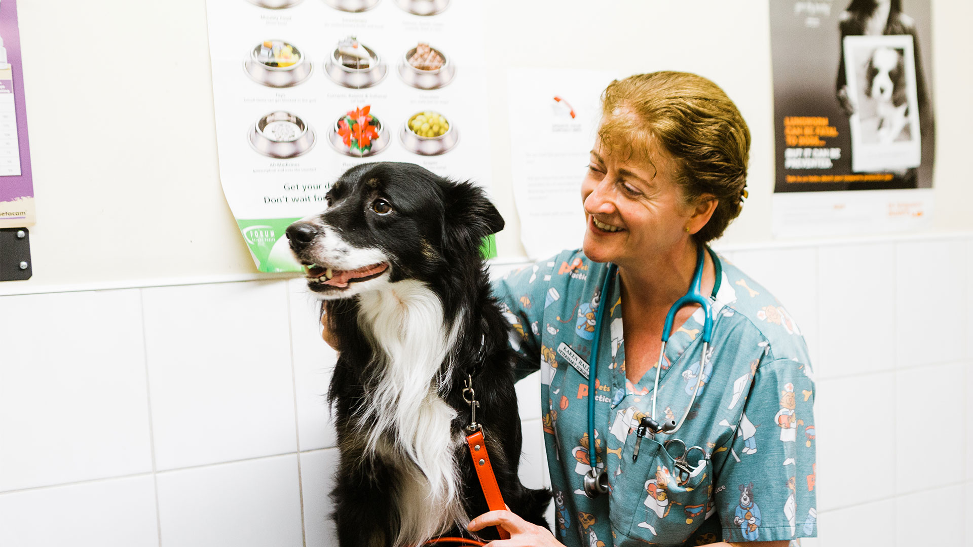 Vets Services in our Cumbernauld and Falkirk Vet Clinics Lawrie Vet Group