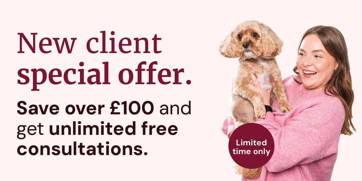 lady holding golden fluffy dog