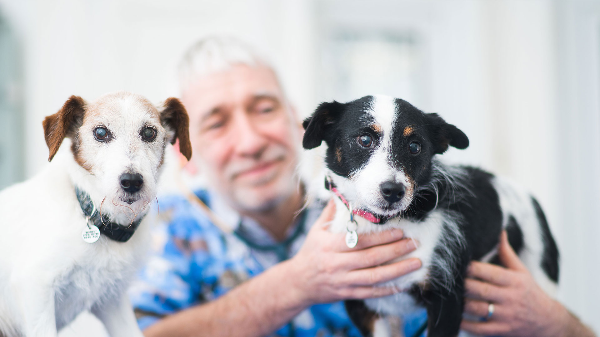 Latest news from Bridge Street Vets Letchworth Veterinary Centre