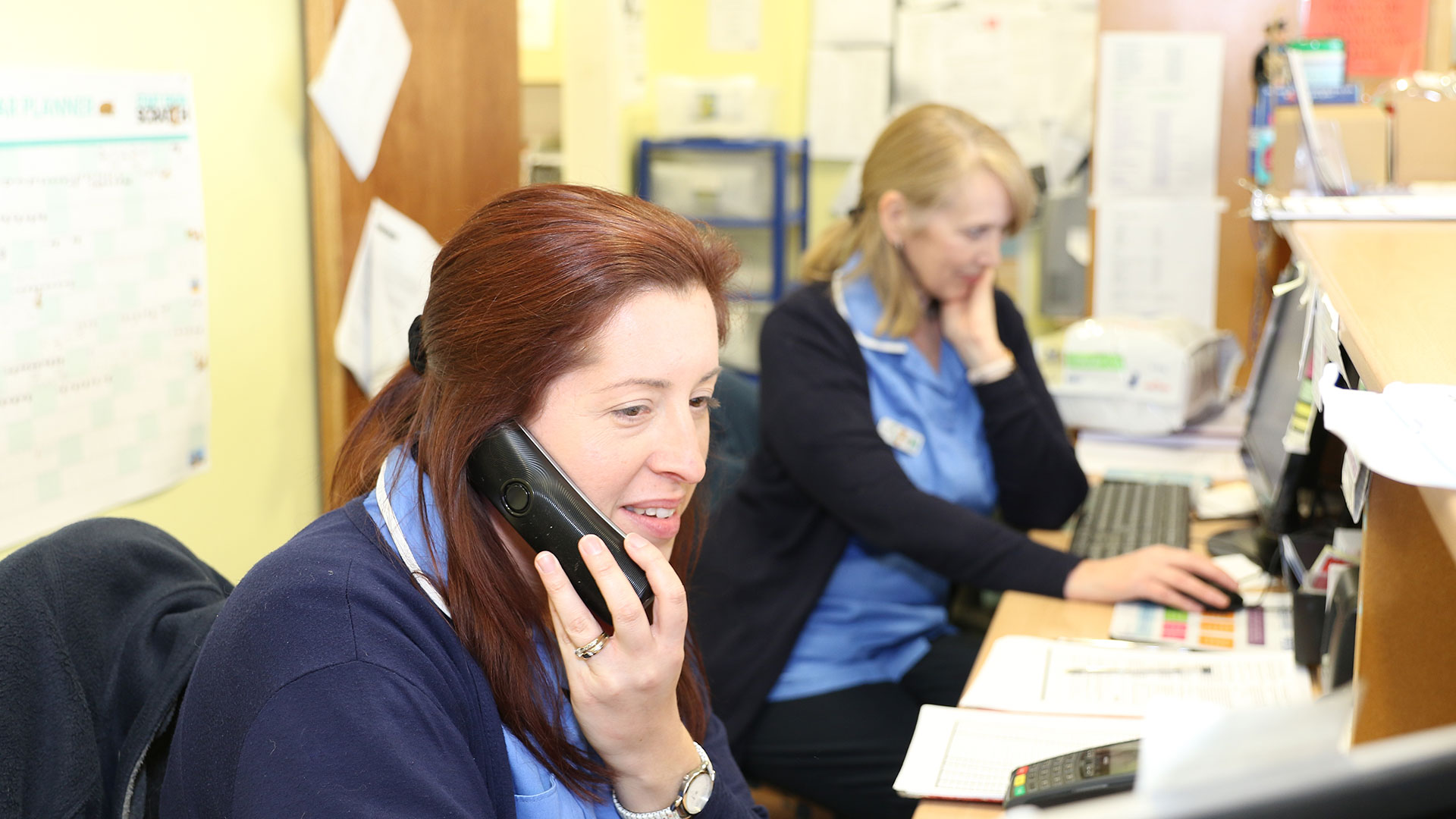 Your Vet In Lincoln Contact Us Linc Vet