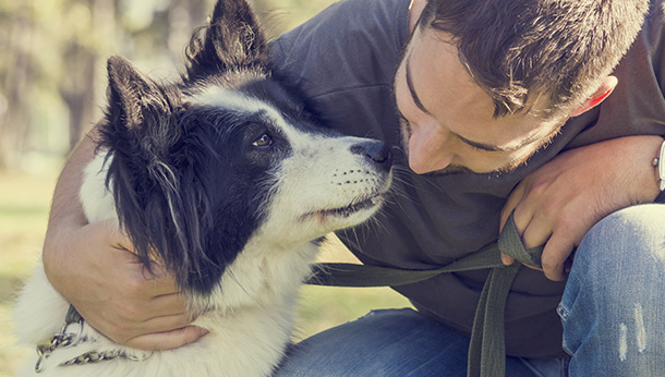 dog stiff joints remedies