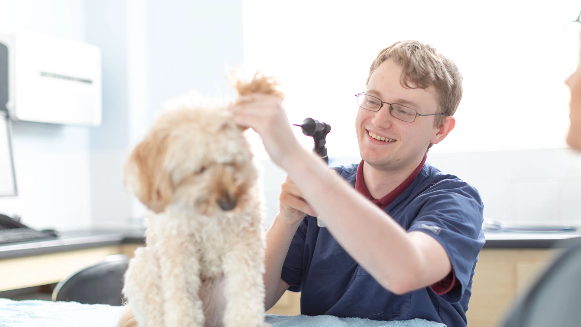 About London Road Vets in Downham Market and King's Lynn | Your Local ...