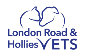 Contact Vets in Norfolk | Local Vets - London Road Vets