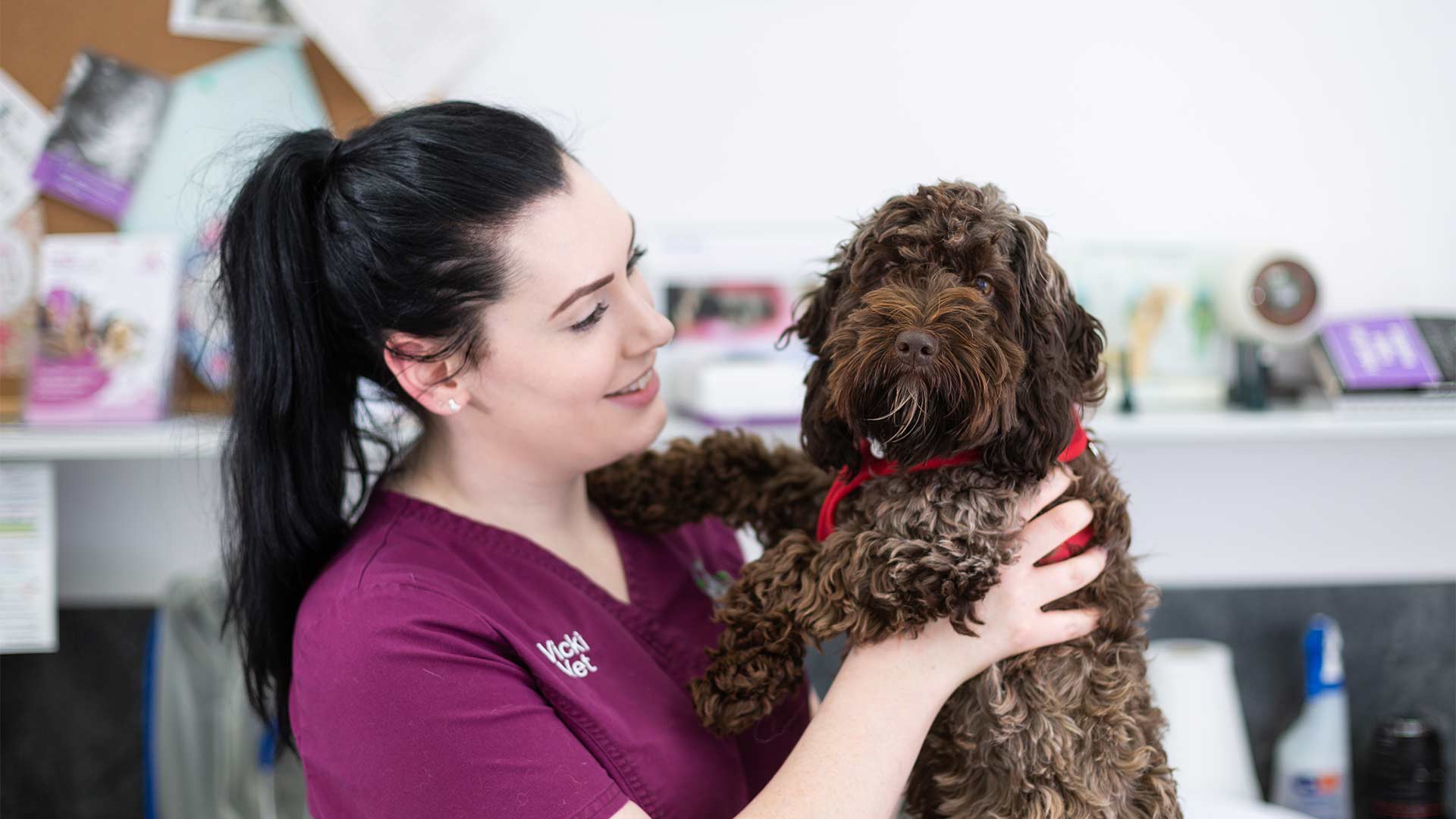 Scott Vets Great Barr Vets Scott & Lydon Vets