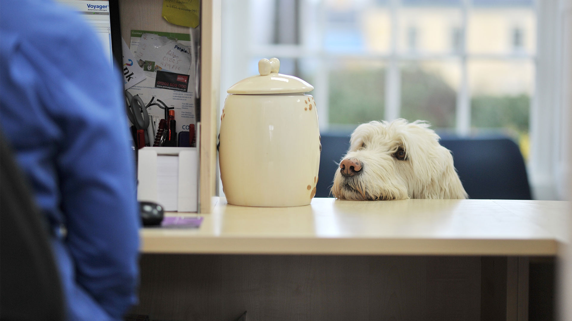 Client Charter Local Vets in Woking, Windlebrook, Bagshot and