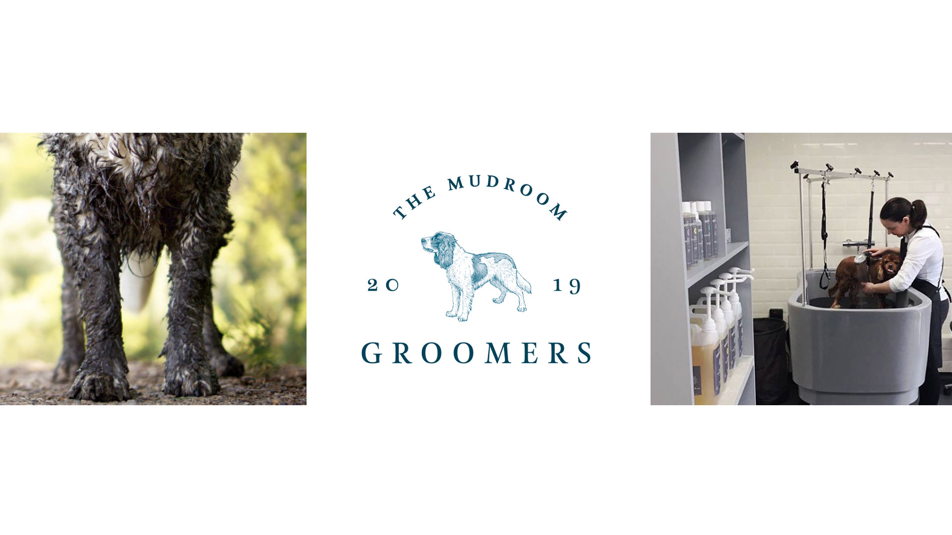 The Mudroom Groomers Local dog groomer in Woking Lynton Veterinary