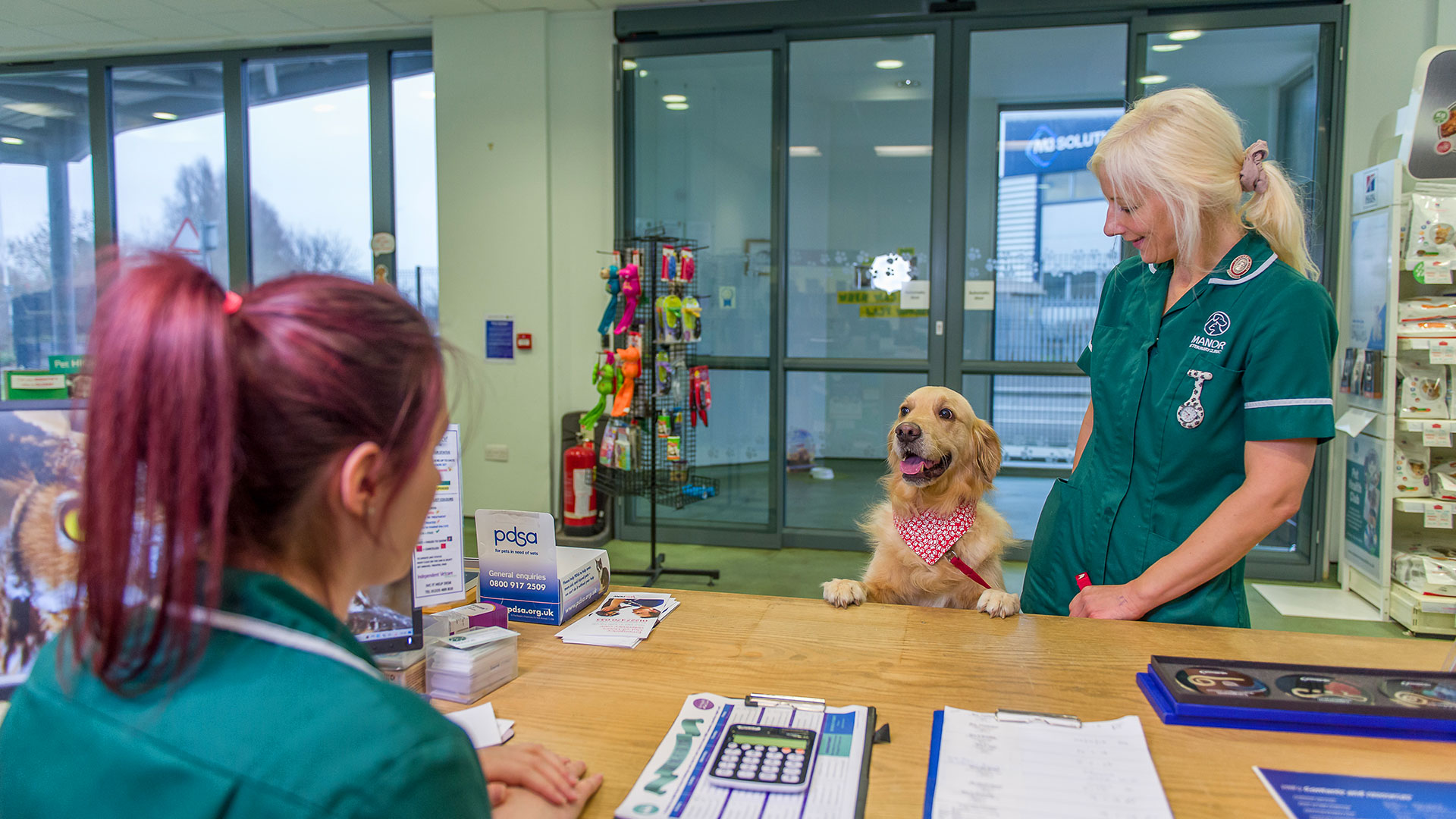 Notes on Pet Travel from Manor Veterinary Clinic Exceptional