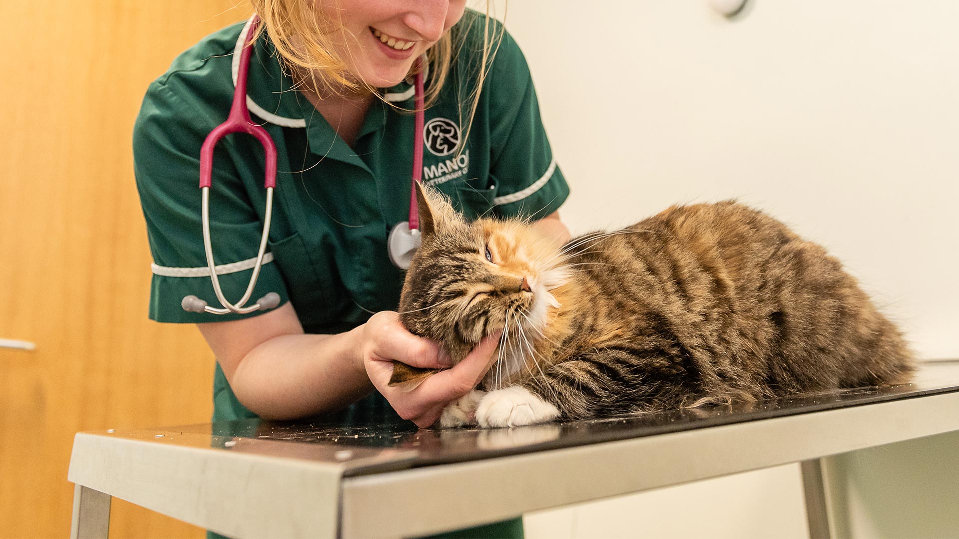 notes-on-vaccinations-from-manor-veterinary-clinic-exceptional