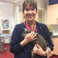 Katie Warr - Veterinary Nurse