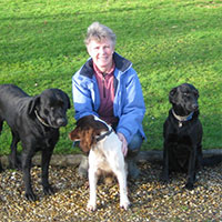 Caroline Moss - Veterinary Surgeon