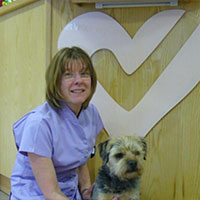 Anita McLelland - Qualified Dog Groomer