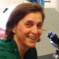 Judy Morris - Small Animal Veterinary Surgeon