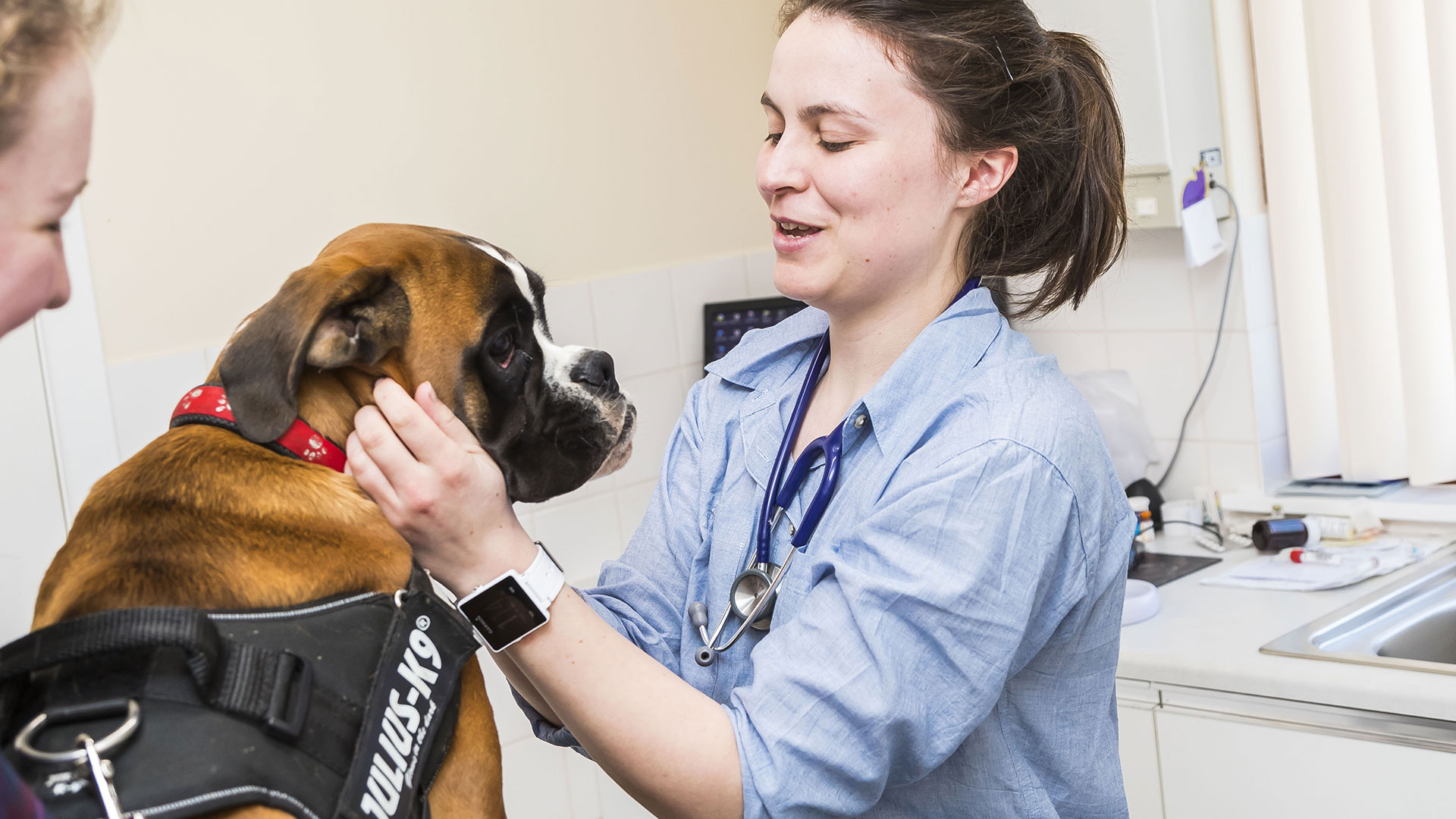 OutofHours Veterinary Services Affordable Airdrie Vets Acres Vet