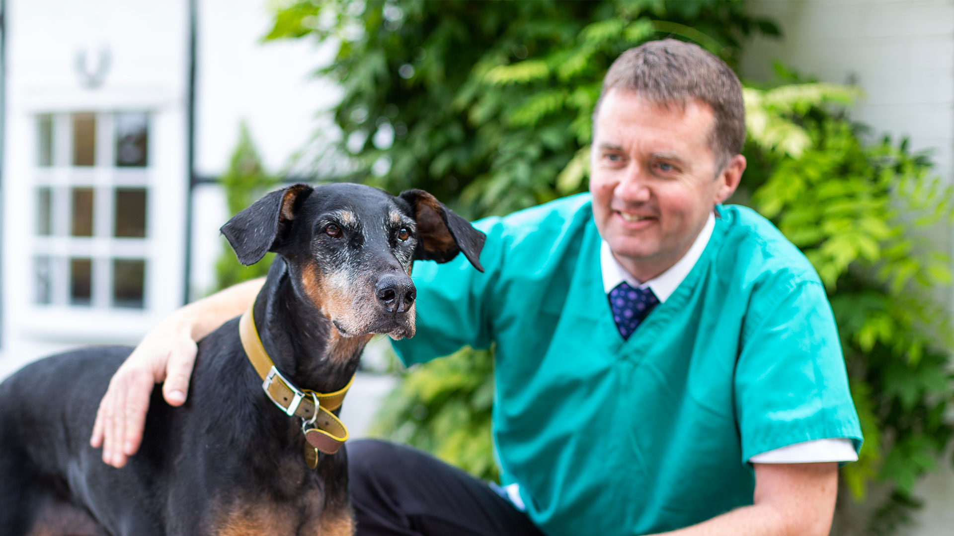Hampshire Vets in Totton & Lyndhurst - Midforest Vets