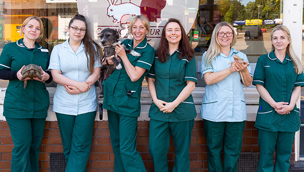 Veterinary nurse jobs in edinburgh and lothians