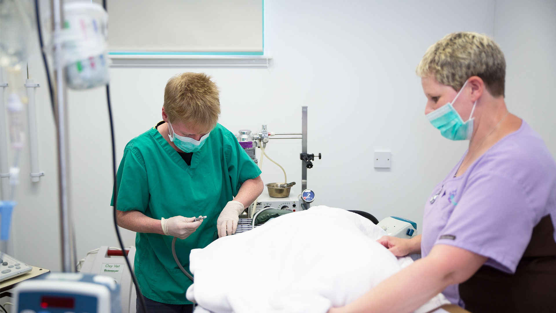 Veterinary Services Local Vets in Mintlaw, Peterhead Mintlaw Vets