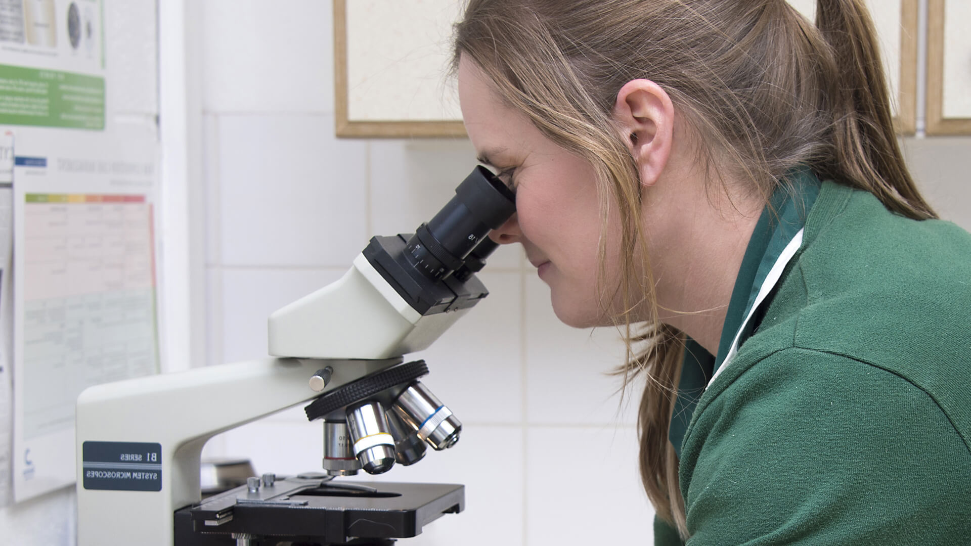 Vacancies Local Vets in Lancashire Moy Vets