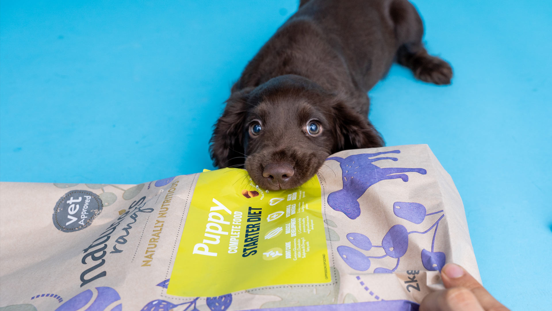 natures range puppy starter diet