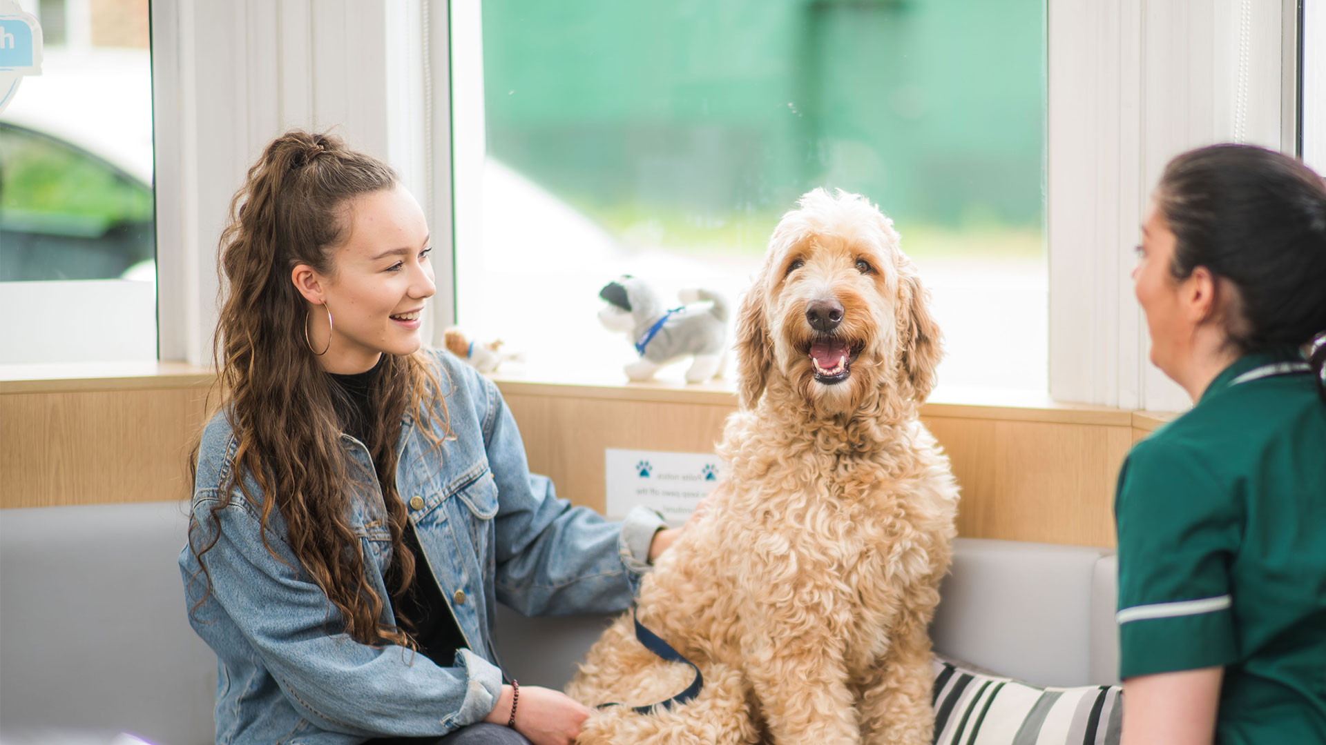 Pet Advice Local Vets in New Malden, Kingston Upon Thames, Surrey