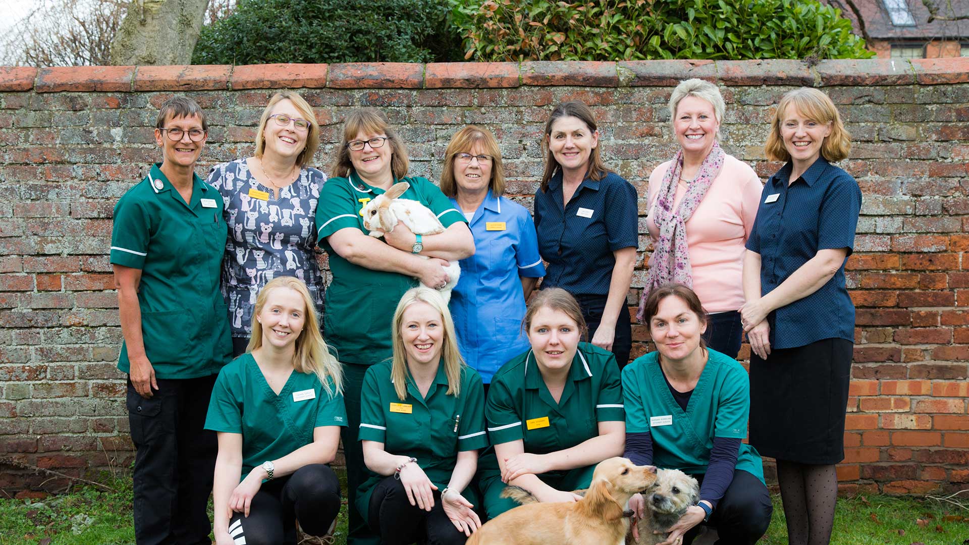 Vets in Newport Meet the Team Newport Vets