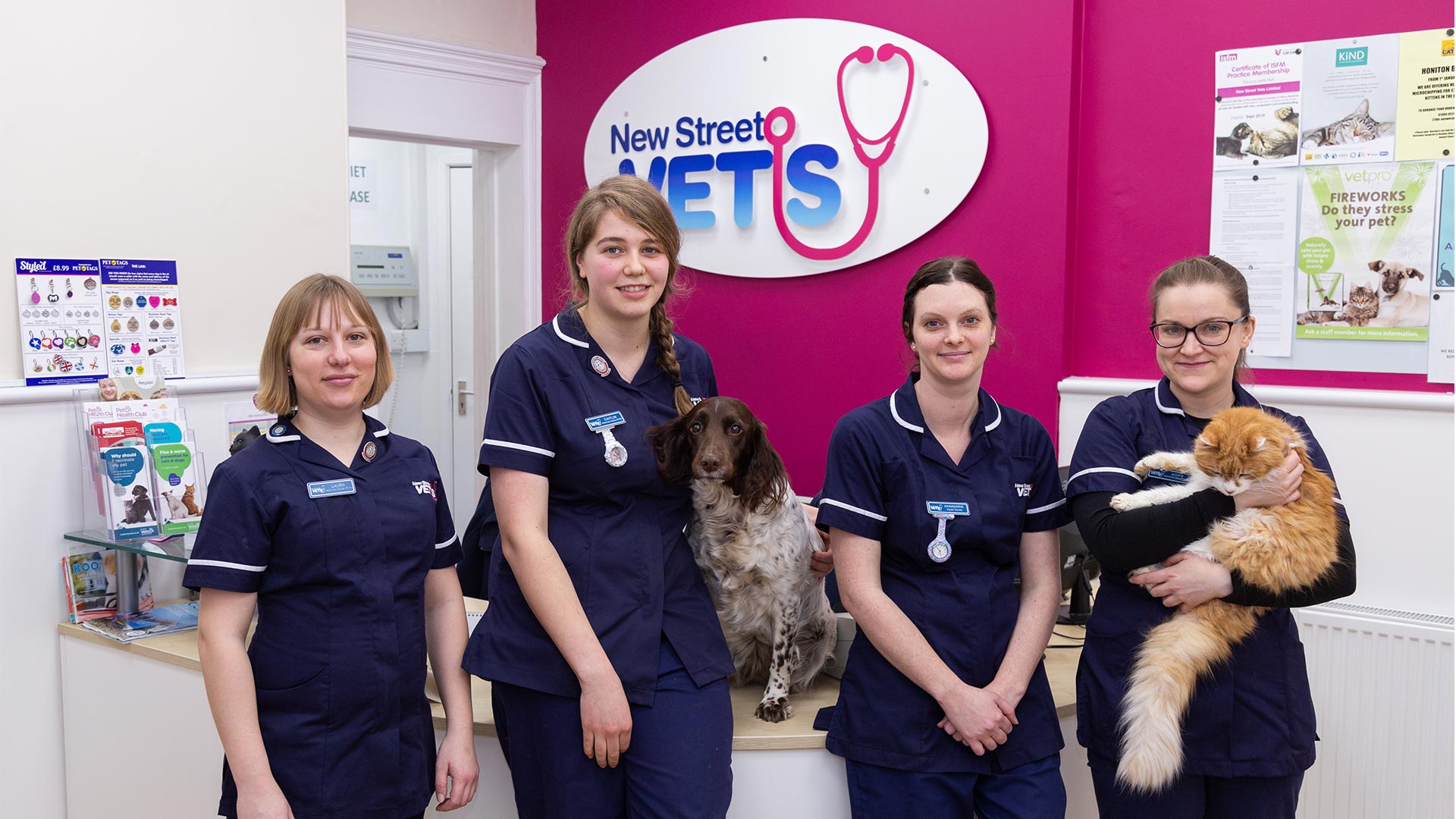Top Quality Pet Care In East Devon New Street Vets New Street Vets