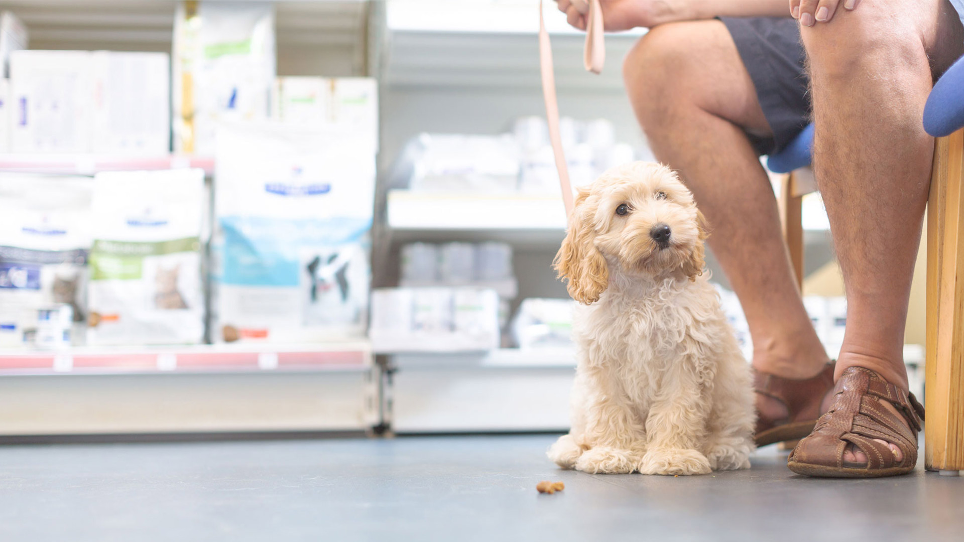 pets at home vets pipps hill
