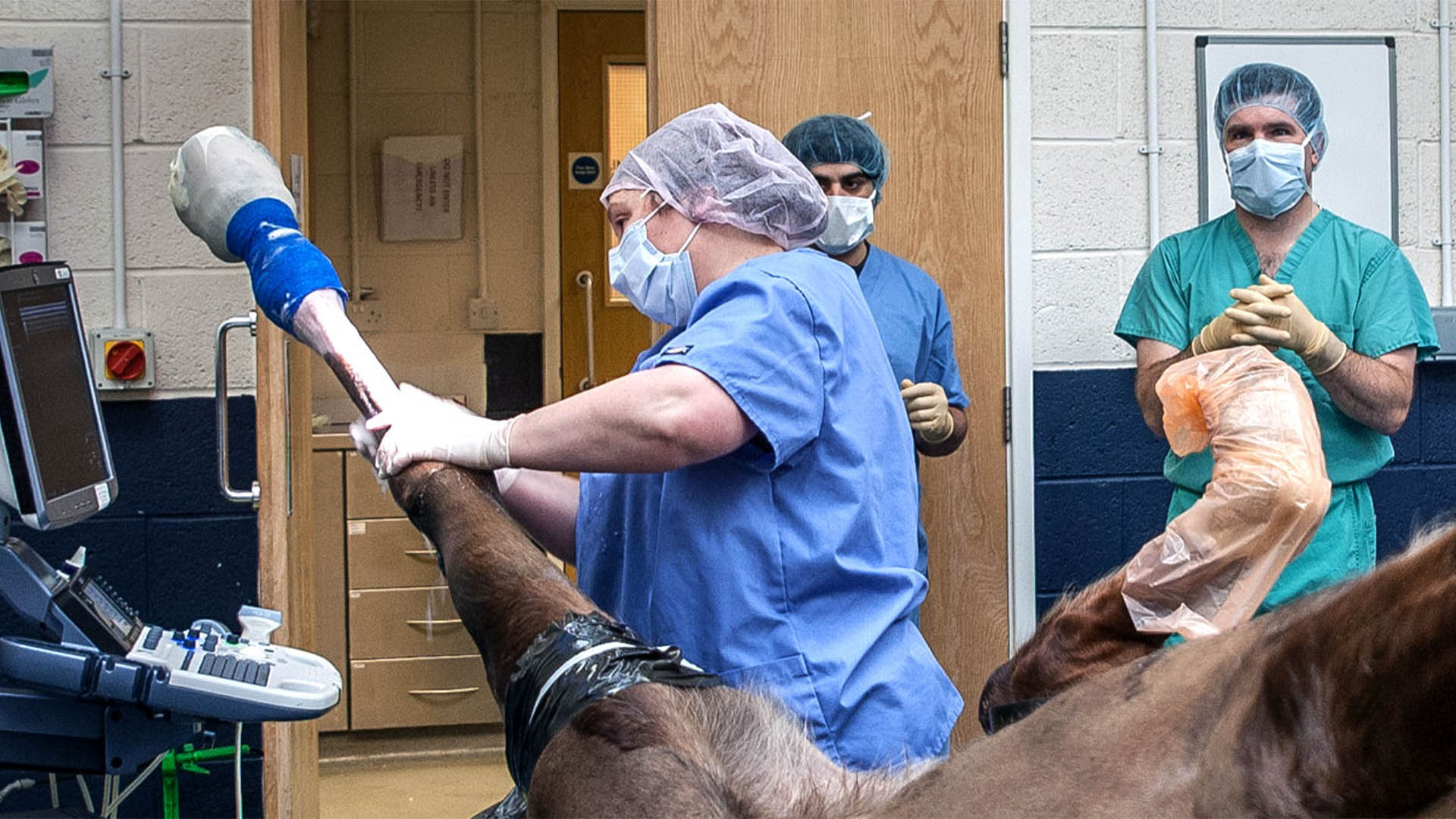 Referral Surgery Local Vets in Oakham Oakham Veterinary Hospital