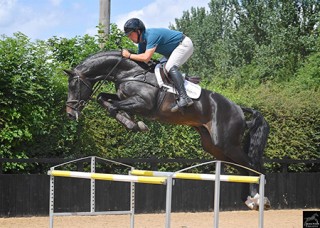 Oakham Equine Hospital