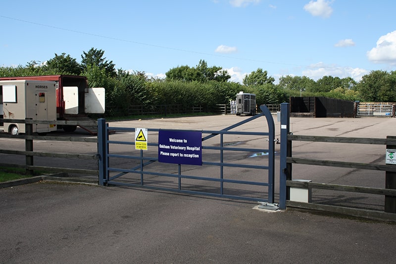 Facilities & Inpatient Care | Local Vets in Oakham, Rutland - Oakham Veterinary Hospital Facilities & Inpatient Care | Local Vets in Oakham, Rutland - Oakham Veterinary Hospital