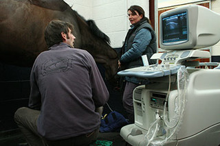 Ultrasound