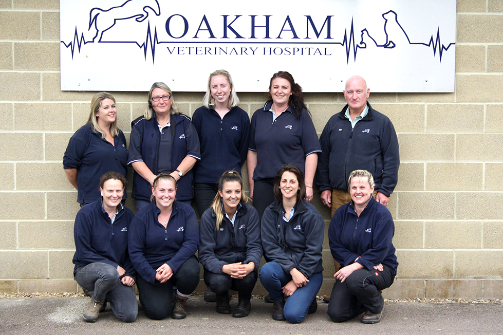 Equine Team | Local Vets in Oakham, Rutland - Oakham Veterinary Hospital