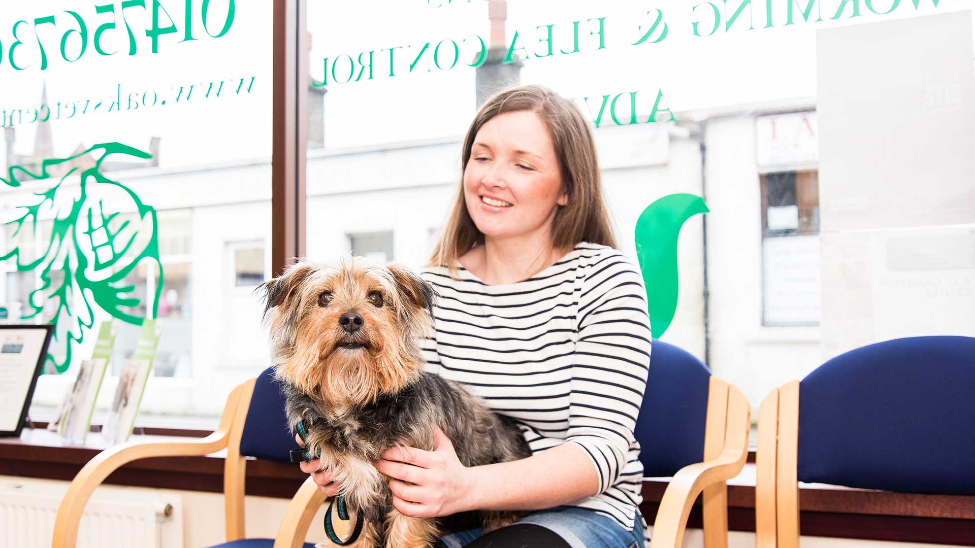 Client Gallery at The Oaks Vets, Ayrshire What Has Your Pet Been Up