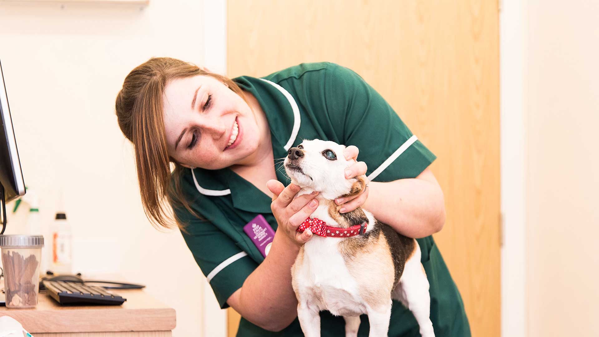 Dog Groomers Local Vets in Ayrshire The Oaks Vet Centre