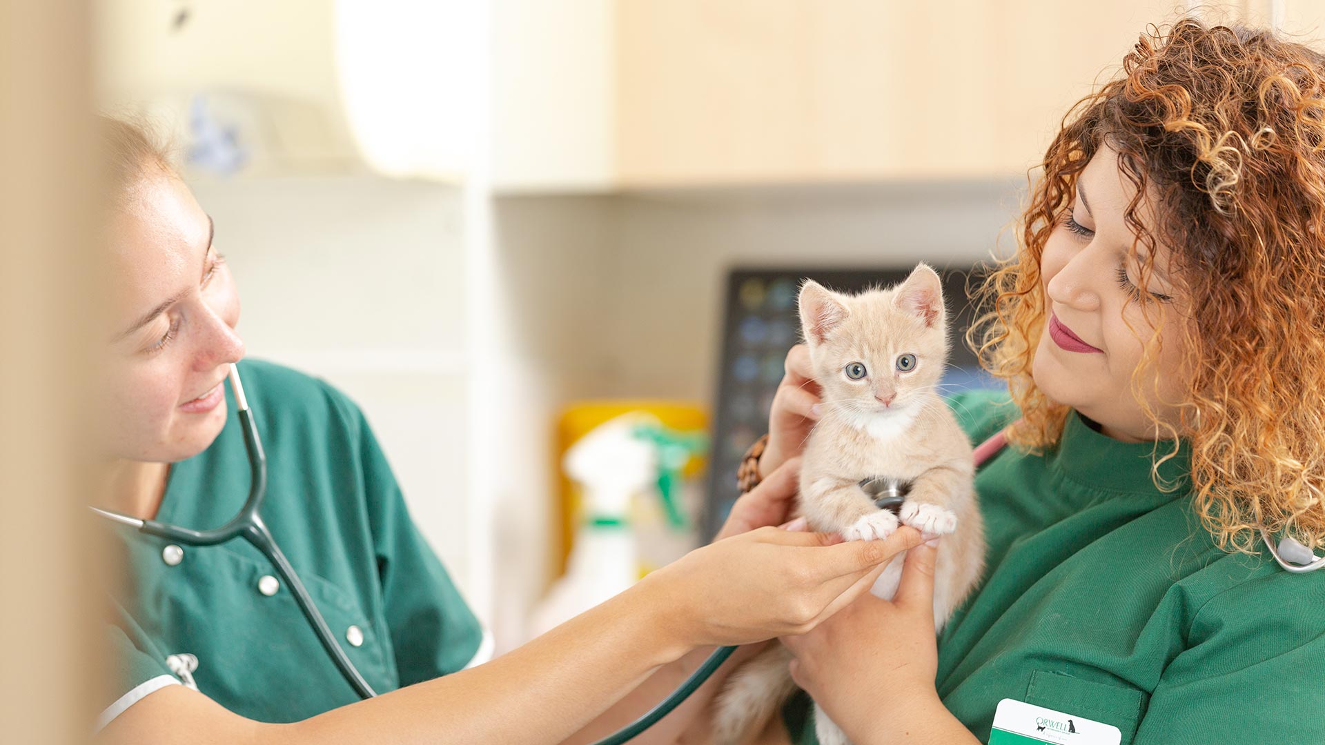 Register Your Pet Orwell Vets