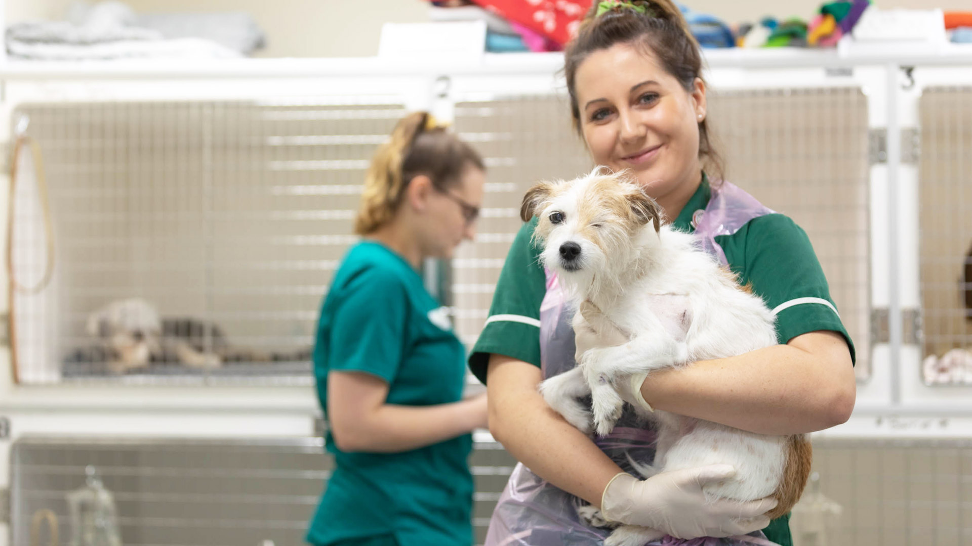 About us Local Vets in Peterborough and Kettering Oundle Vets