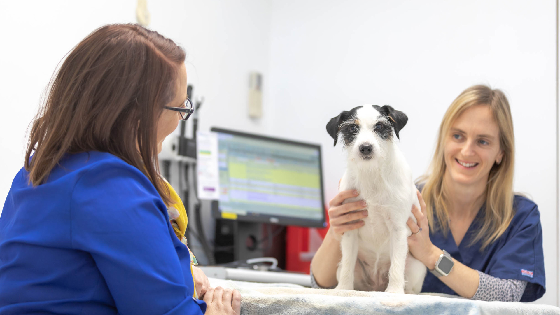 Oundle & Thrapston Vets Local Vets in Peterborough and Kettering