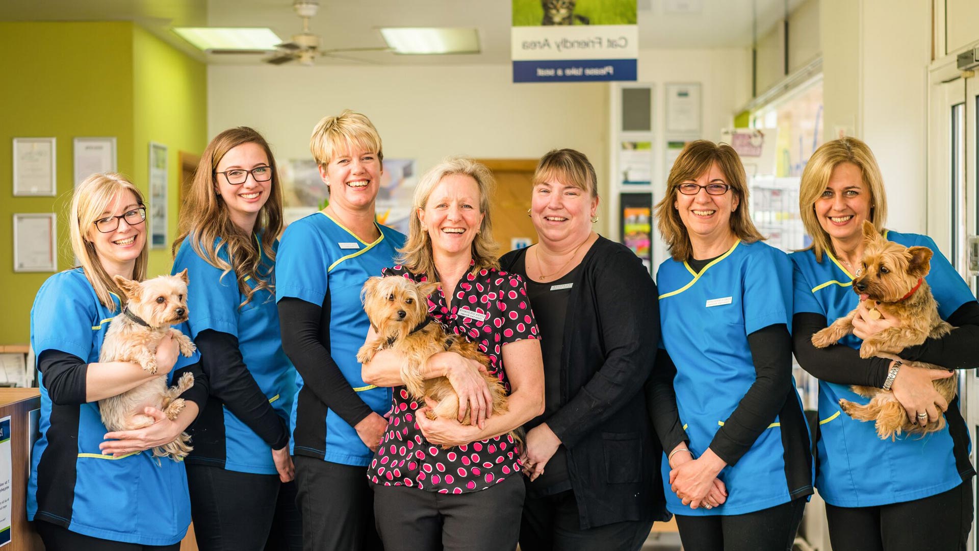 Vets in South East London Belvedere; Foots Cray; Swanley; Chislehurst