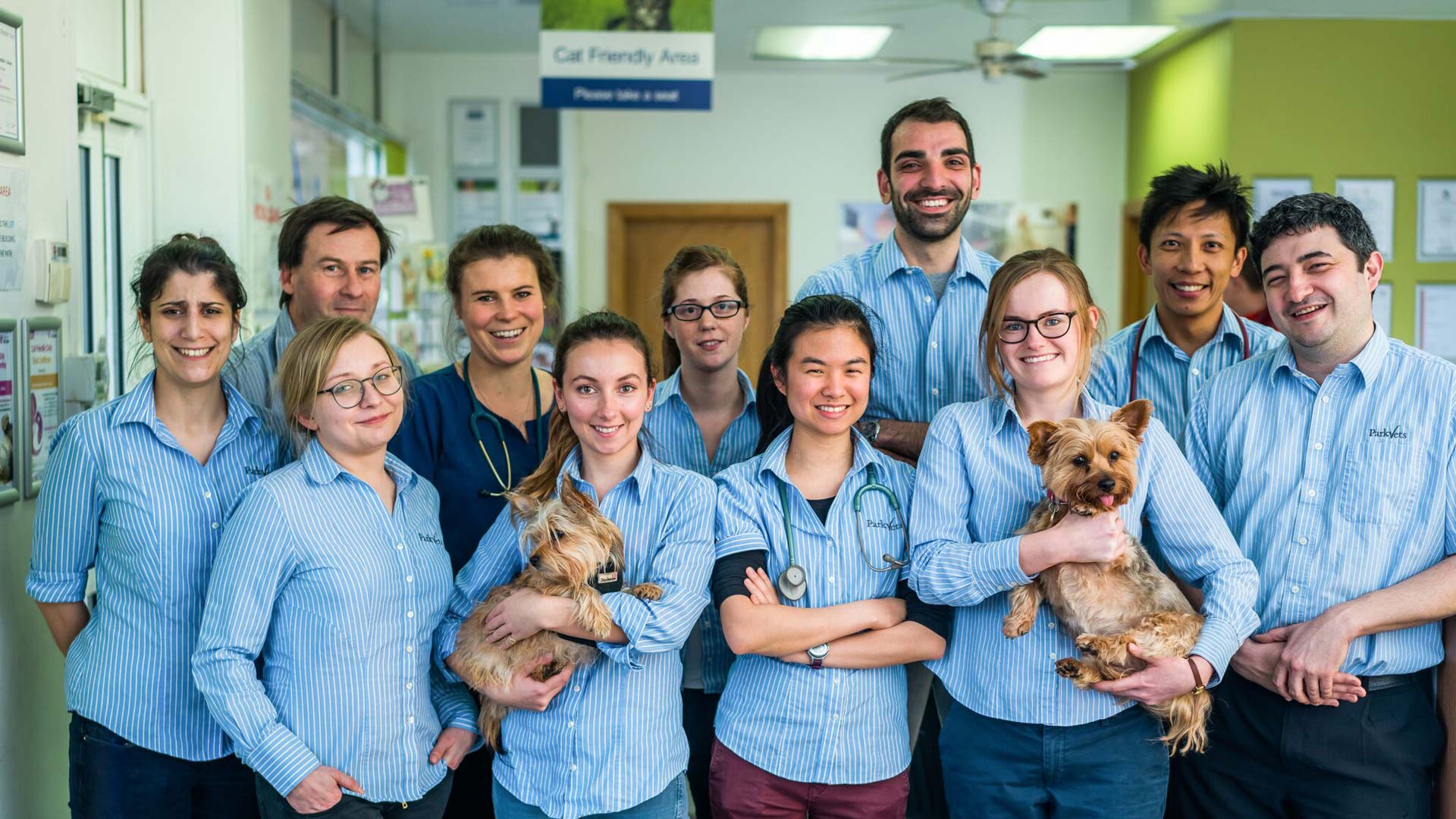 Vets in South East London Affordable Vets in South East London Park Vets