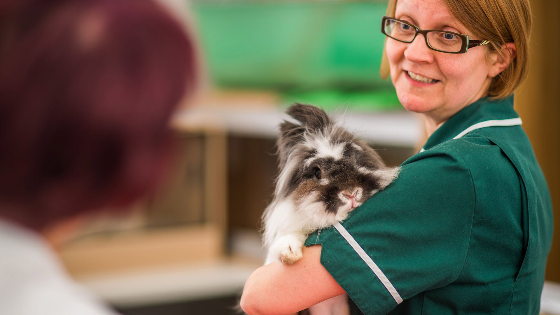 Vets in South East London Swanley Parkvets Park Vets