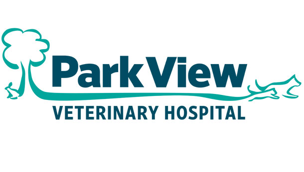 oswald soft toy online